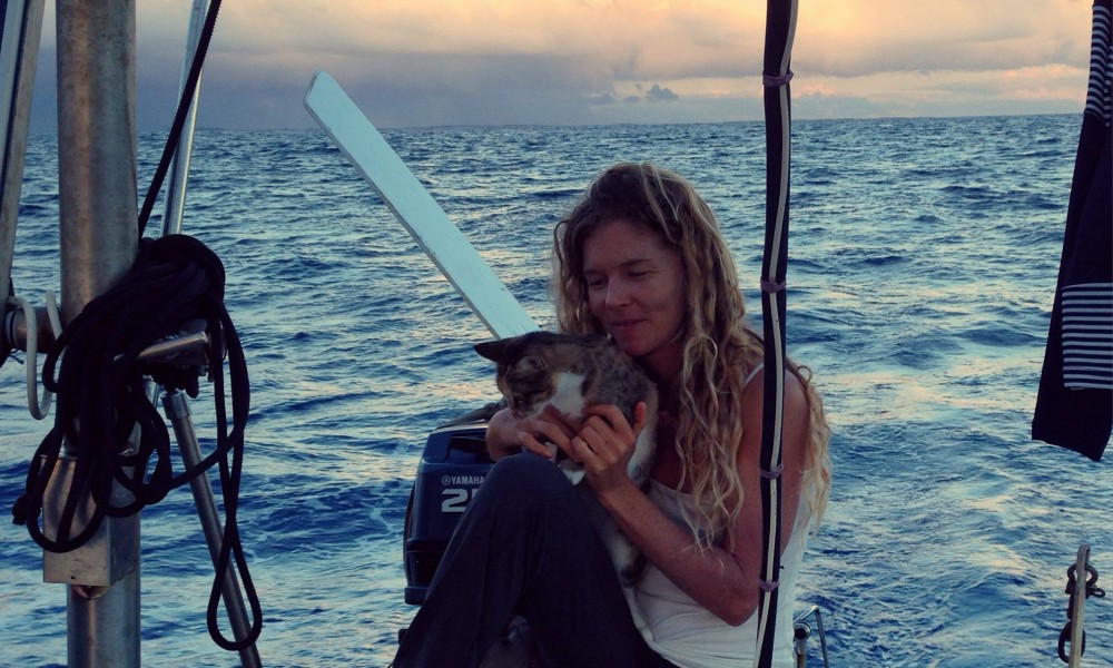 Reunited and it feels so Good!! Tropicat is BACK Reunited and it feels so Good!! Tropicat is BACK