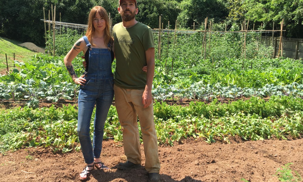 I got to visit Freewheel Farms in Atlanta where Carolynn gets all her chef supplies from her boyfriend's two urban farms that grow beautiful organic food and try to get it in low-income neighborhood shops where fresh organic produce is often scarce.