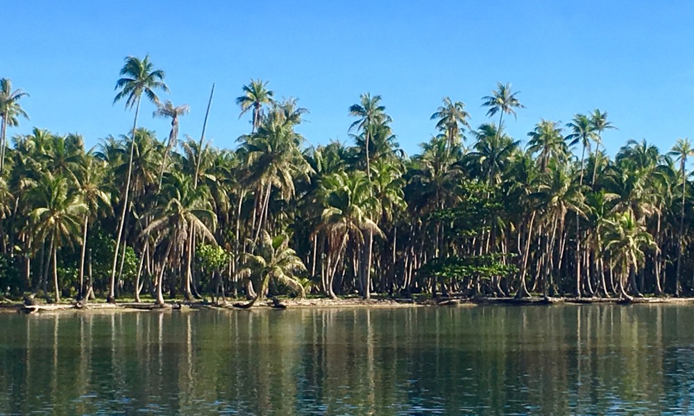 From Love to Action, Saving Oceania: Interview by Founders of 9 for 17 From Love to Action, Saving Oceania: Interview by Founders of 9 for 17